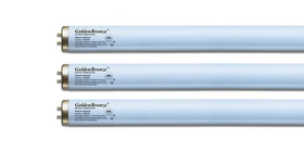 Tanning Bed Bulbs Wolff GoldenBronze FR59, BI-Pin, 80 Watt- Reflector