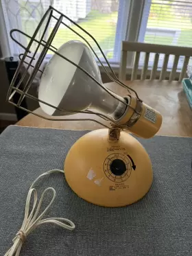 RSK5 GE General Electric Deluxe Sun Lamp Bulb