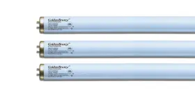 23018 WOLFF Tanning Bed Bulbs Goldenbronze Pin Reflector