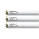 Wolff GoldenBronze FR71 T12 100/120WR Reflector Bi-Pin Tanning Bed Bulbs