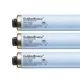 Tanning Bed Bulbs Wolff GoldenBronze F73, RDC, T-12 100/120 Watt - 1000 Hours