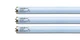 Tanning Bed Bulbs Wolff GoldenBronze FR59, BI-Pin, 140 Watt- Reflector