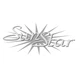 ETS Sunstar ZX32 Tanning Bed Bench Acrylic