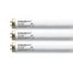 Wolff GoldenBronze F71 T12 100/120W Bi-Pin Tanning Bed Bulbs - 6 Bulbs