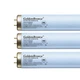 Tanning Bed Bulbs Wolff GoldenBronze FR71, BI-Pin T-12 100/120 Watt - Reflector